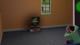 I realiteten ble hele neste dag brukt til å spille videospill.