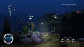 Reef Shot.