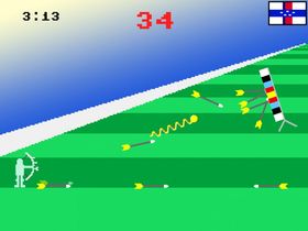 Realistic Summer Sports Simulator (PC).