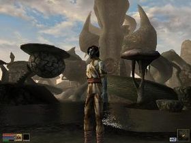 The Elder Scrolls III: Morrowind