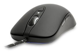Steelseries Sensei Raw.