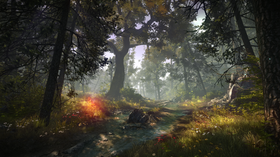 Selv de skumleste skoger ser innbydende ut i Witcher 2.