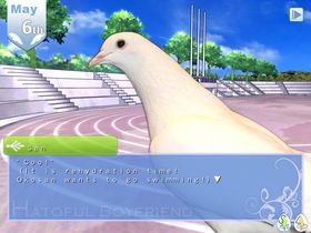 Hatoful Boyfriend (PC).