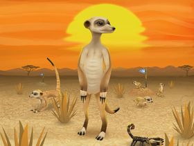 Lapland Studios Meet the Meerkats.