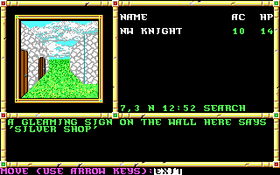 Neverwinter Nights (1991).