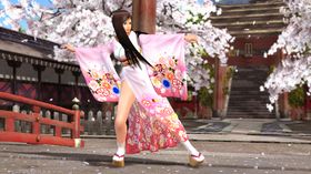 Dead or Alive 4