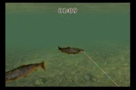 Reel Fishing Challenge (Wii).