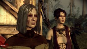 Dragon Age: Origins