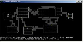 Roguelike-spillet Nethack (i ASCII-modus).