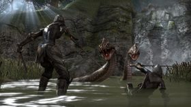 The Elder Scrolls Online prøver å ha et mer actionpreget kampsystem.