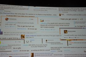 Ein smakebit på oppgulpet Anita Sarkeesian har vore utsett for.