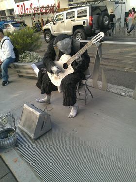 Gitar + sjimpanse.