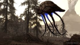 De som begynte Elder Scrolls-serien med Skyrim vil nok sperre øynene opp over bull netch-skapningene.