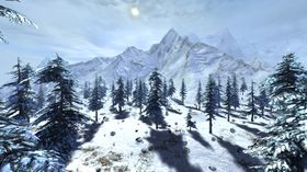 Det er tydelig at ArenaNet jobber med noe de brenner for.