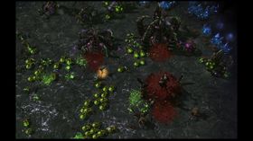 Denne gangen er zerg-ene i fokus.