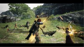 Dragon's Dogma.