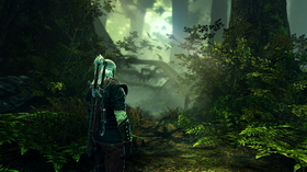 The Witcher 2.