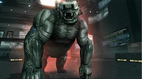 Ein hacka Gorilla!