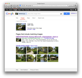 Slik ser omvendt bildesøk ut på Google.