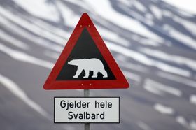 Denne karen kan egentlig holde seg veldig langt unna. Jeg har 18-250mm med. .