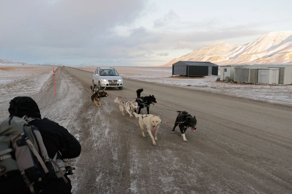 Slik lufter man hunder på Svalbard når det er kaldt?