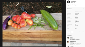 Nexus-5-vegetables-camera-sample.300x167