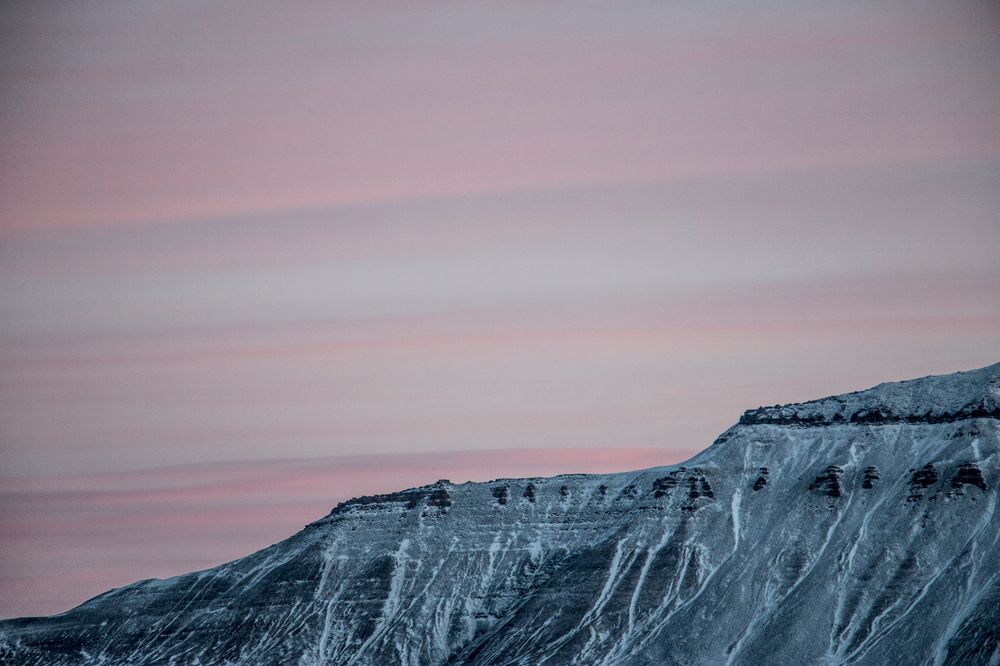 70D: 640 ISO, f/5.6, 1/200s, 135mm (Sigma 18-250mm).