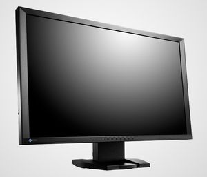 Eizo Foris FG2421.