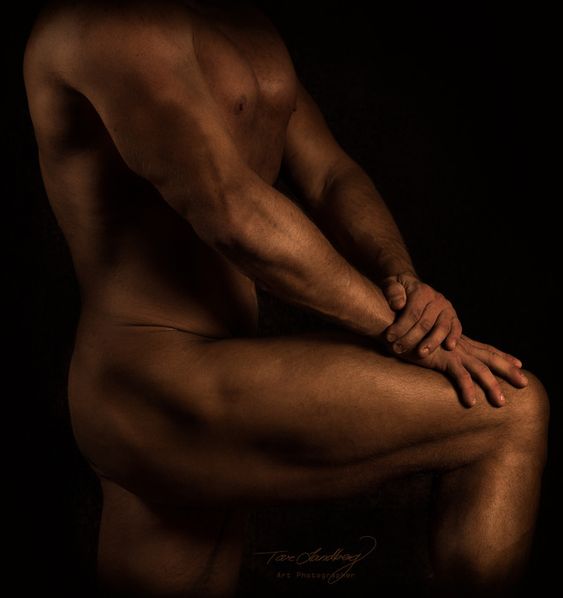 "The Body" - November.