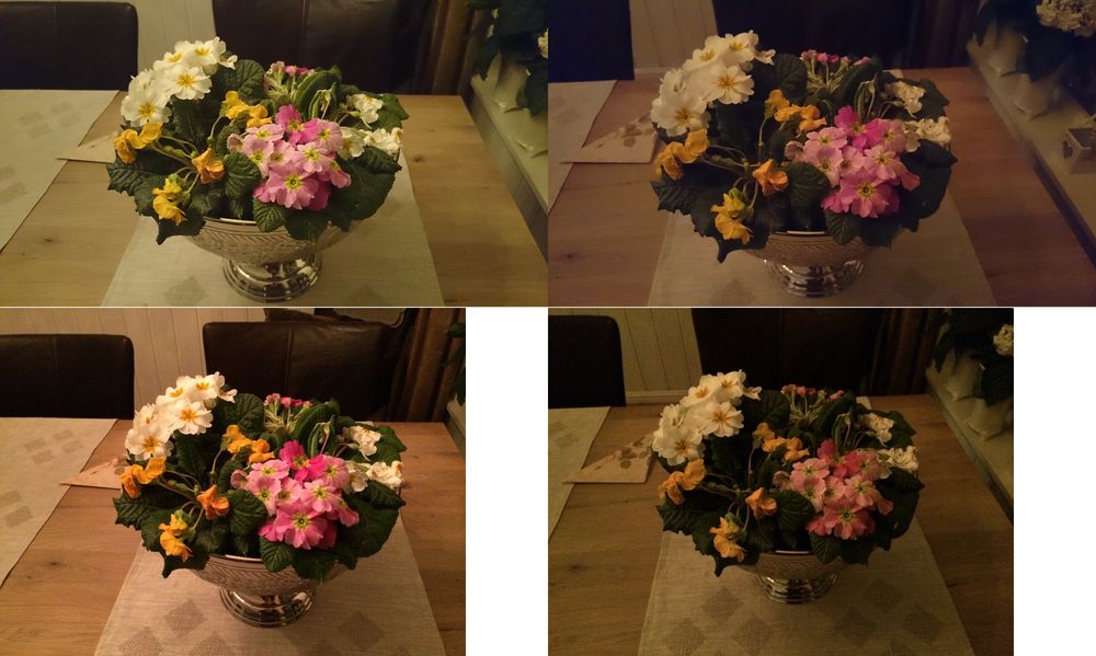 blomst.