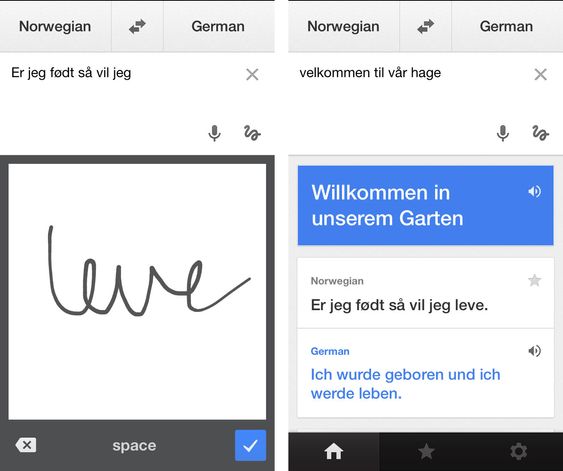 Google Translate.