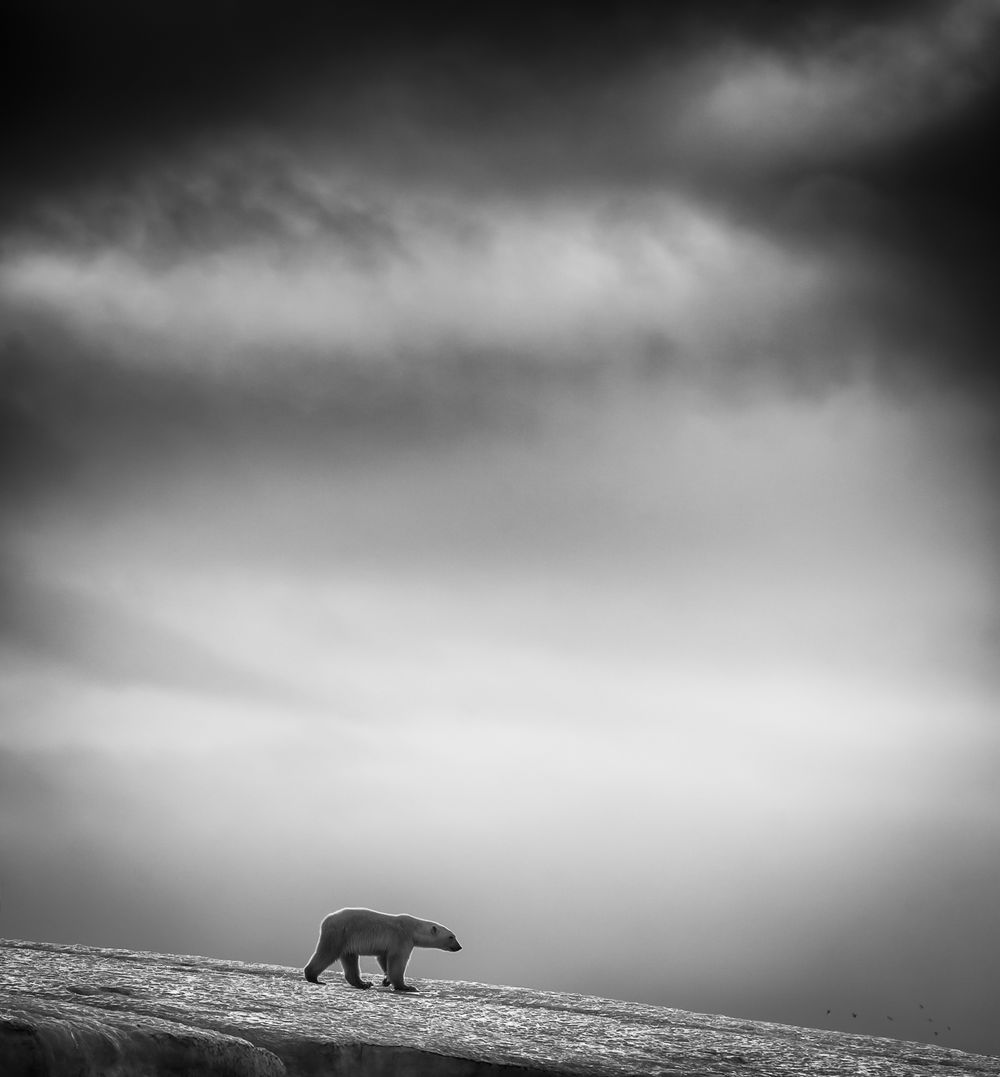 Kategori: Reise. 2014 Sony World Photography Awards.