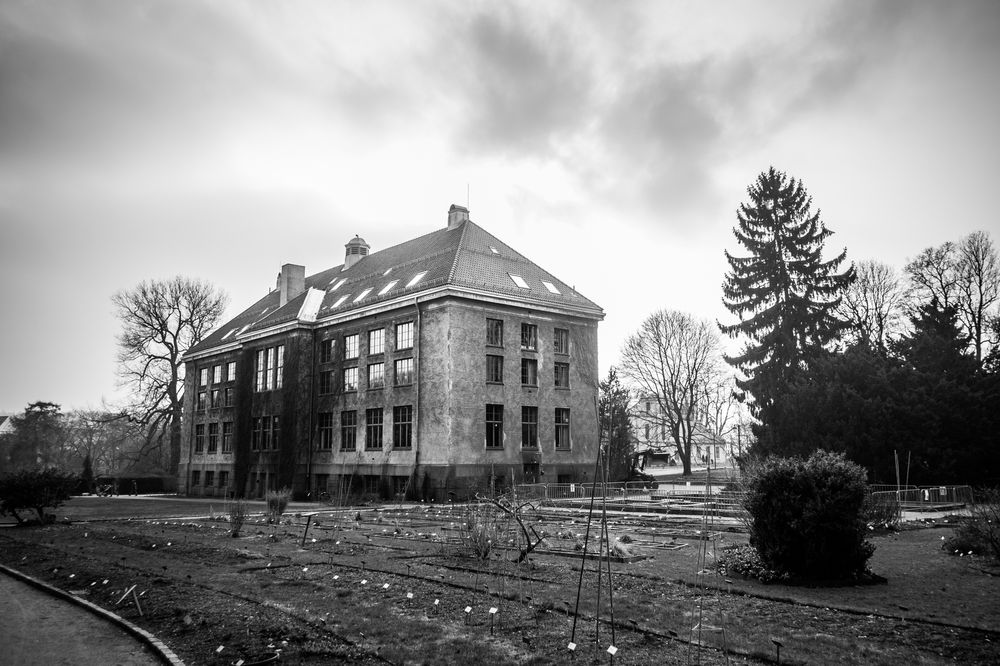 Fujifilm X-T1 - 18mm - 1/2400 - f/2.8 - ISO 200.