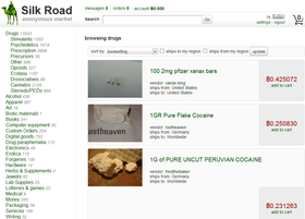 Undergrunnsmarkedet Silk Road, som hovedsakelig selger narkotiske stoffer, er blant nettsidene som bruker Bitcoin til transaksjoner.