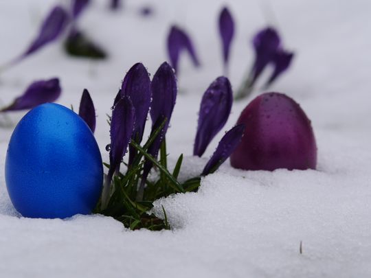 Grå snø kan fort bli resultatet om kameraet får bestemme selv.