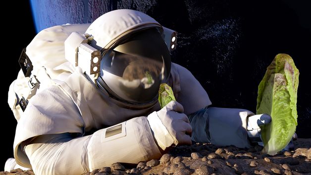 Nå skal astronautene dyrke sin egen salat