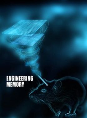 Studien heter «Engineering memory».
