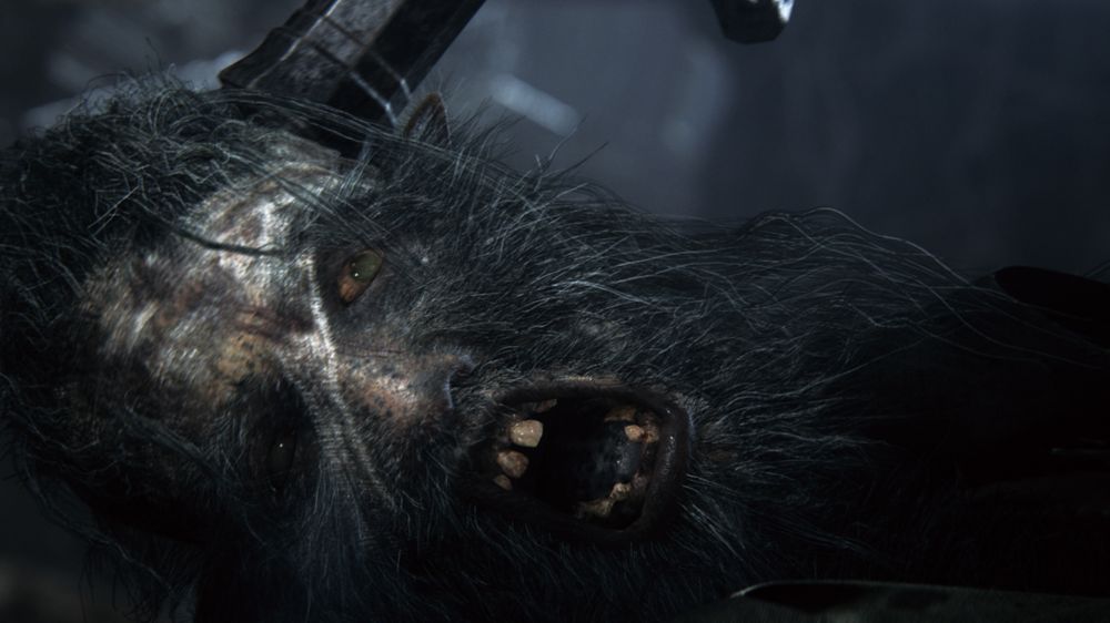 Andreas tror nok det er mulig å finne på nye eventyr i Bloodborne-universet.