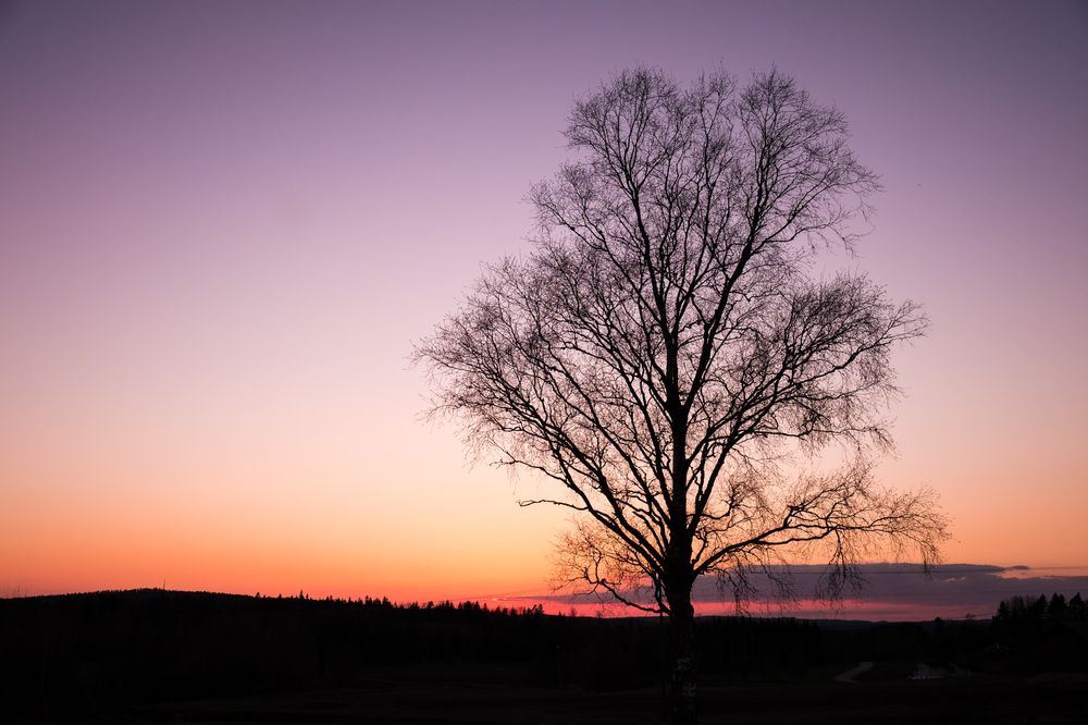Fujifilm X-A1 - 23mm - 1/200 - f/5.0 - ISO 200.