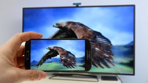 video%20fra%20mobil%20til%20tv%20-%20169