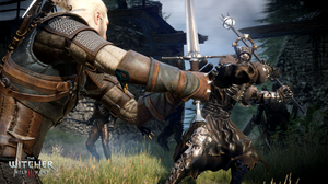 The Witcher 3: Wild Hunt.