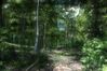 Crysis