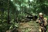 Crysis