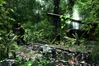 Crysis