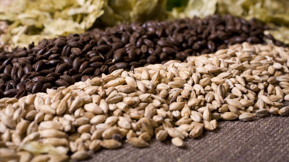 To ulike sorter malt.