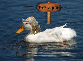 Her ser vi altså Slütsof på vei til det magiske landet Stagram.