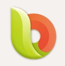 Next Browser.