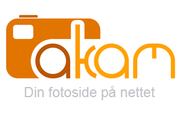 Les Bli med å bestemme