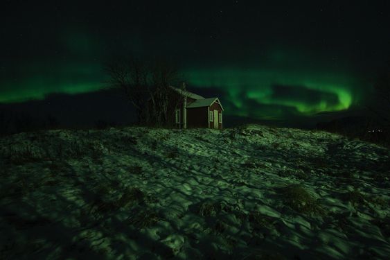 «På Haugen».