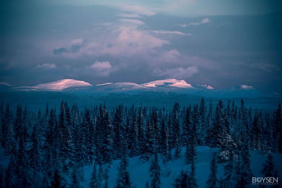 «Rondane by december».